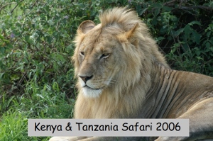 Kenya & Tanzania Safari 2006